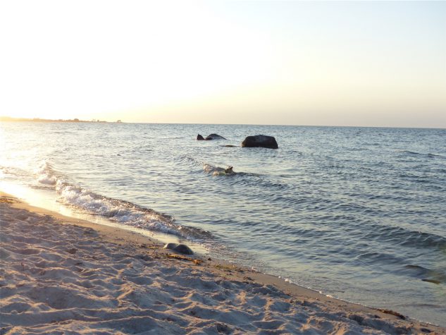 Urlaub20