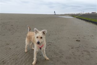 Urlaub17