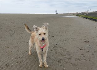 Urlaub26